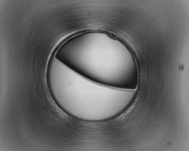X0000097990932200804021005