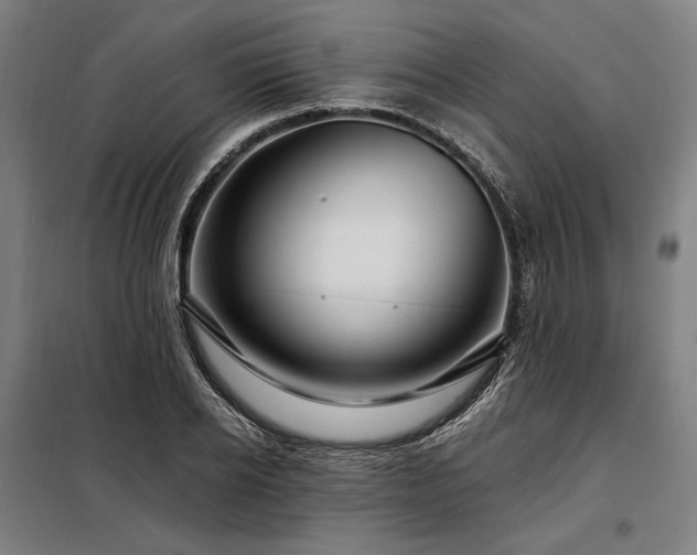 X0000097990934200804021005