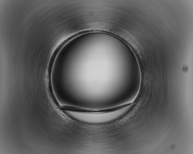 X0000097990936200804021005
