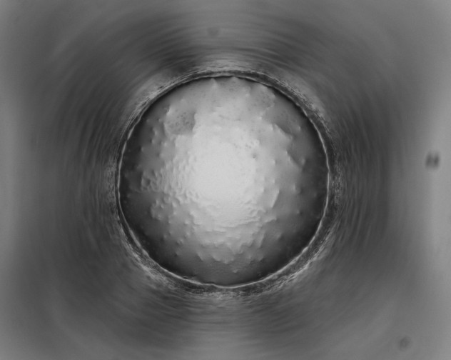 X0000097990937200804021005