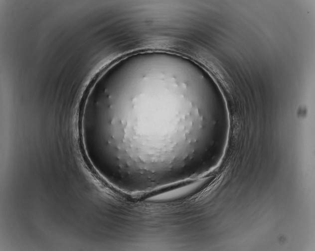 X0000097990939200804021005