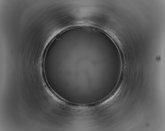 X0000097990941200804021005
