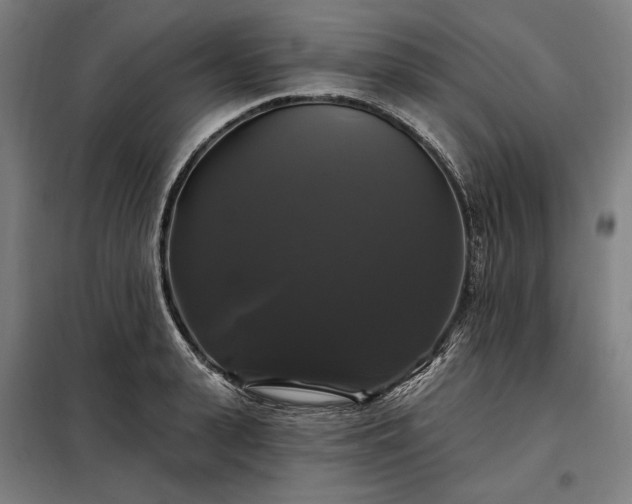 X0000097990943200804021005