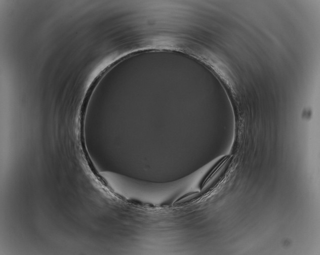 X0000097990944200804021005