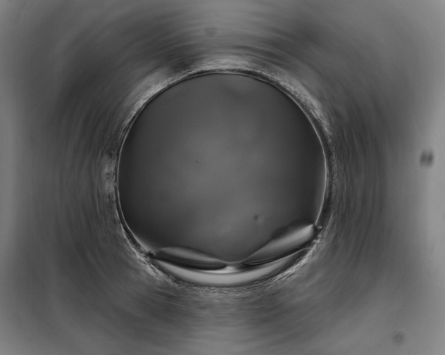X0000097990945200804021005