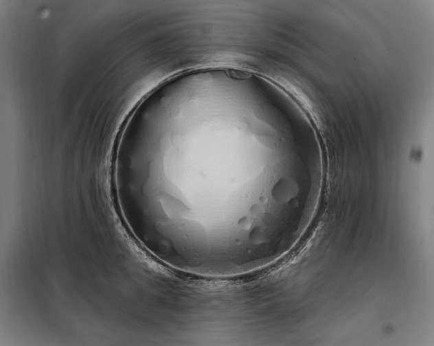 X0000097990949200804021005