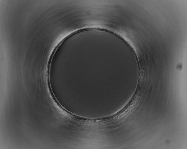 X0000097990951200804021005
