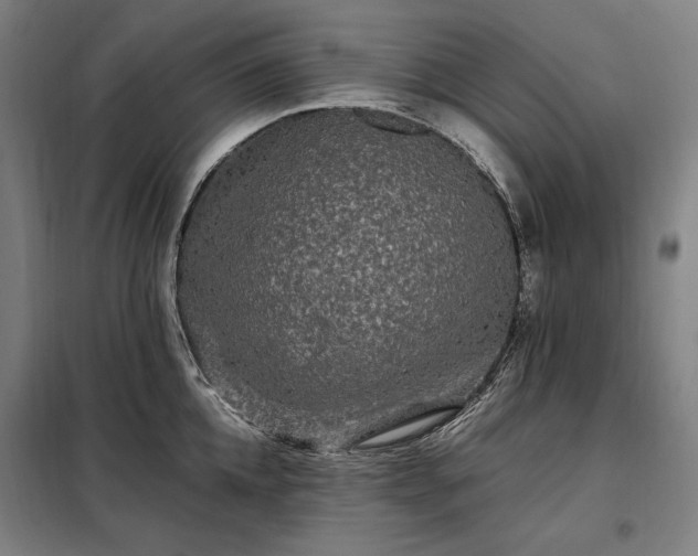 X0000097990952200804021005