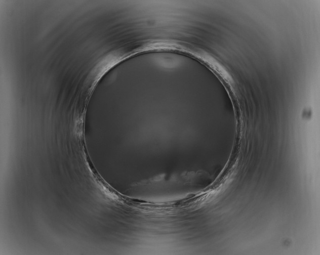 X0000097990953200804021005