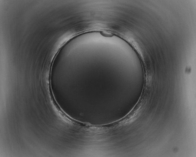 X0000097990954200804021005