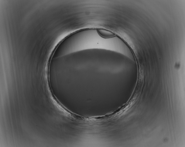 X0000097990958200804021006