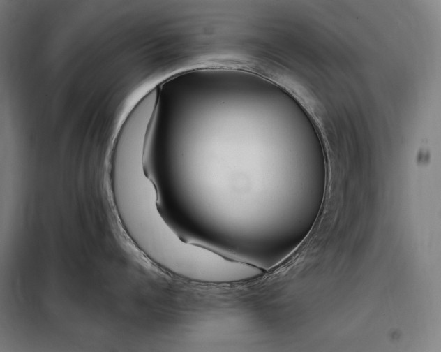 X0000097990960200804021006
