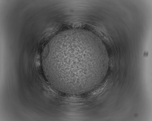 X0000097990962200804021005