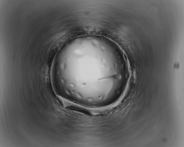 X0000097990963200804021005