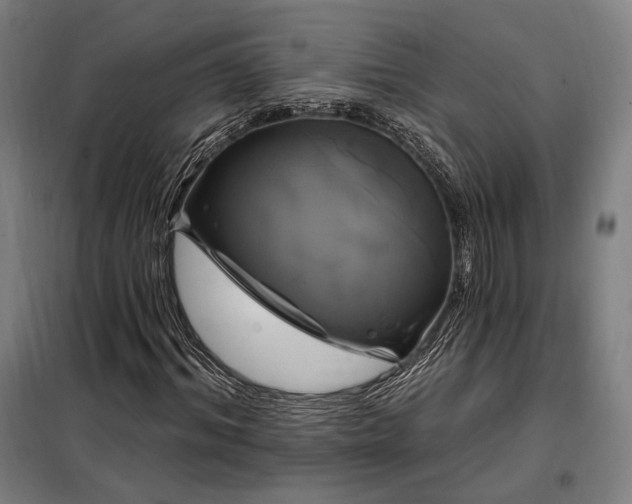 X0000097990964200804021005