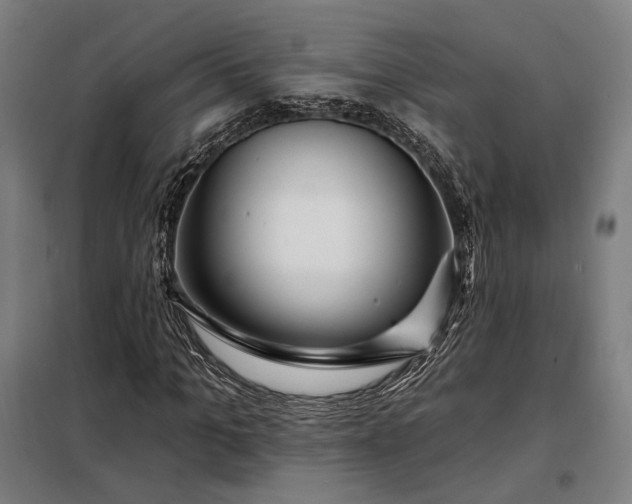 X0000097990965200804021005