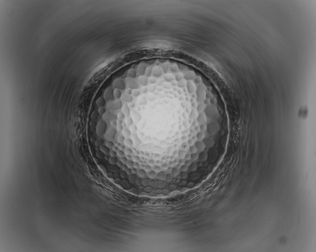 X0000097990967200804021005