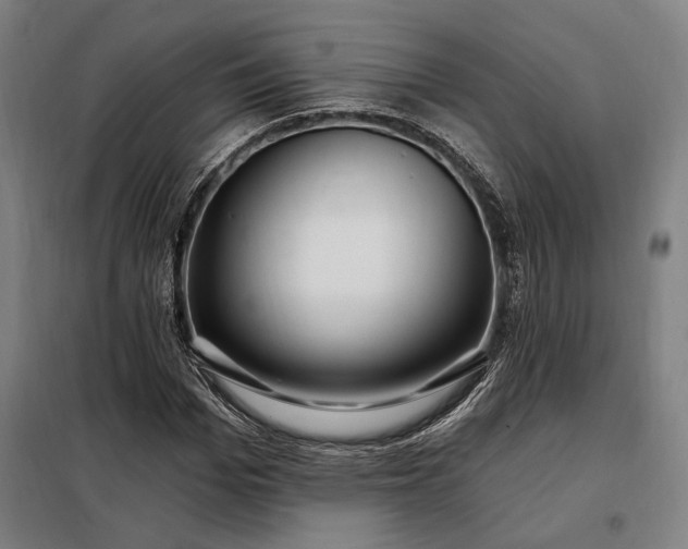 X0000097990969200804021005
