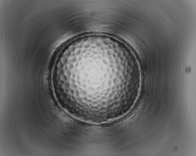 X0000097990971200804021005