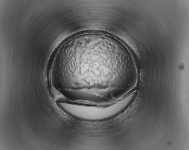 X0000097990972200804021005