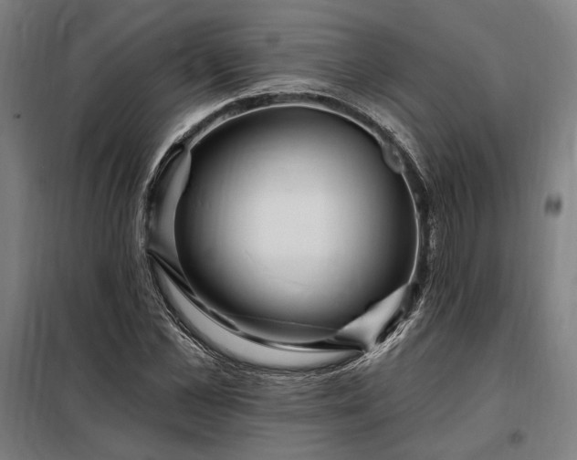 X0000097990973200804021005