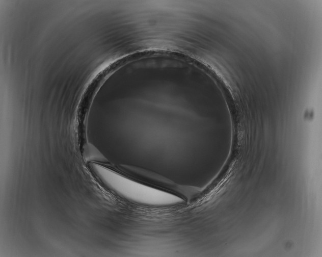 X0000097990975200804021005