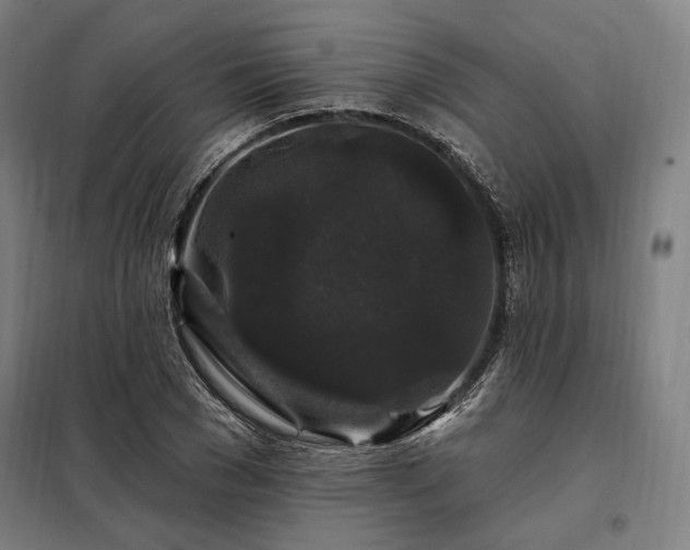 X0000097990977200804021005