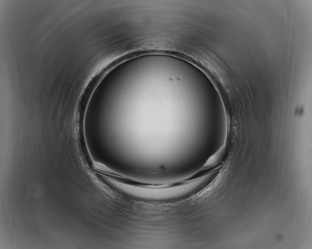X0000097990981200804021005
