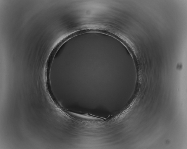 X0000097990983200804021005