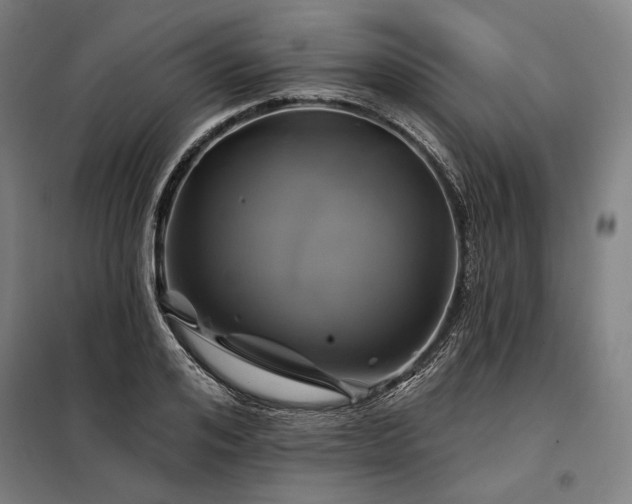 X0000097990984200804021005