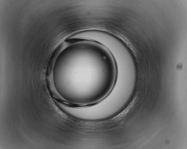 X0000097990985200804021005