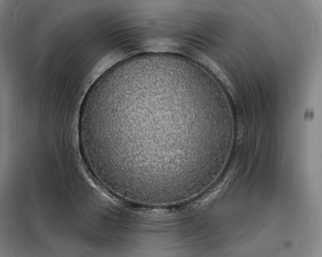 X0000097990986200804021005
