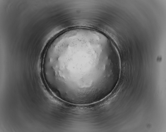 X0000097990987200804021005