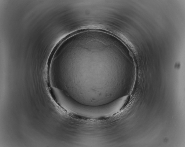 X0000097990988200804021005
