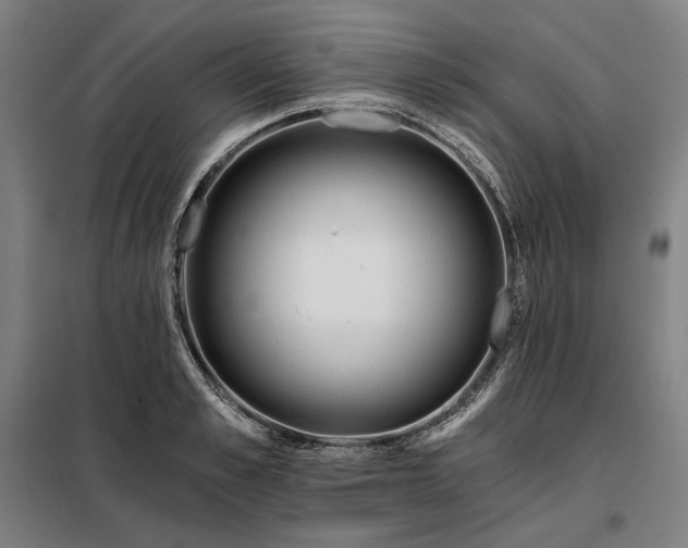 X0000097990989200804021005