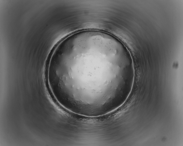 X0000097990991200804021004