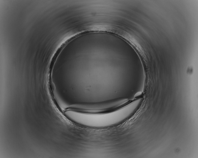 X0000097990992200804021004