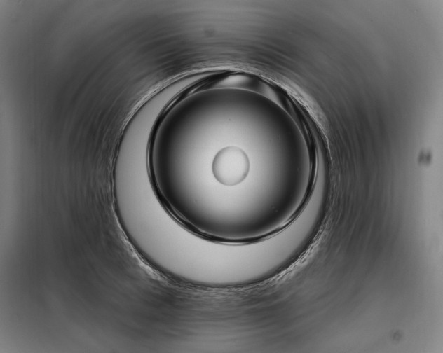 X0000097990993200804021004