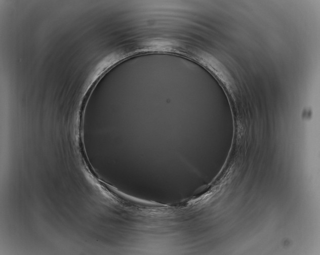 X0000097990994200804021004
