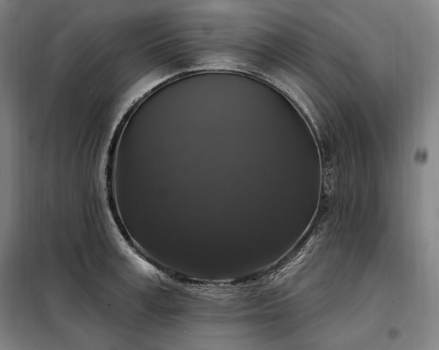 X0000097990995200804021004