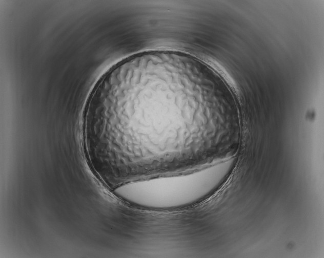 X0000097990996200804021004