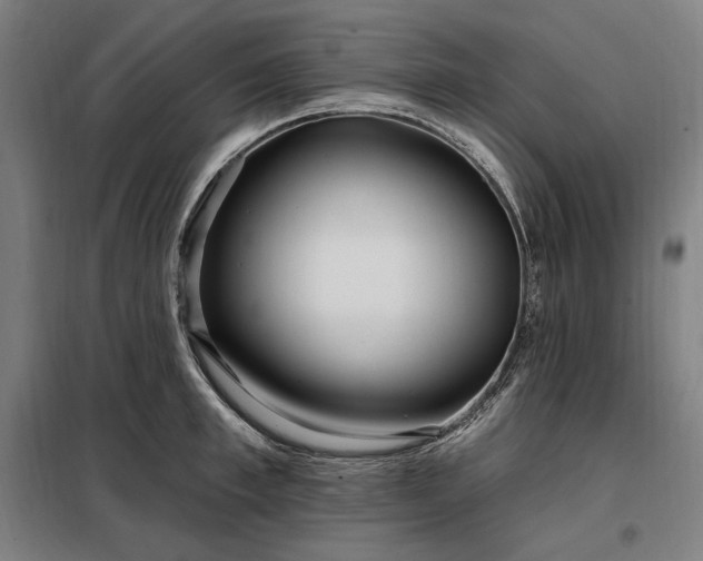 X0000097990997200804021004