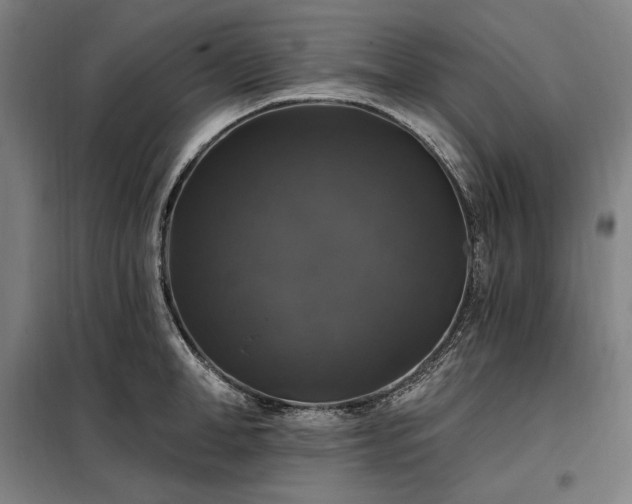 X0000097990998200804021004