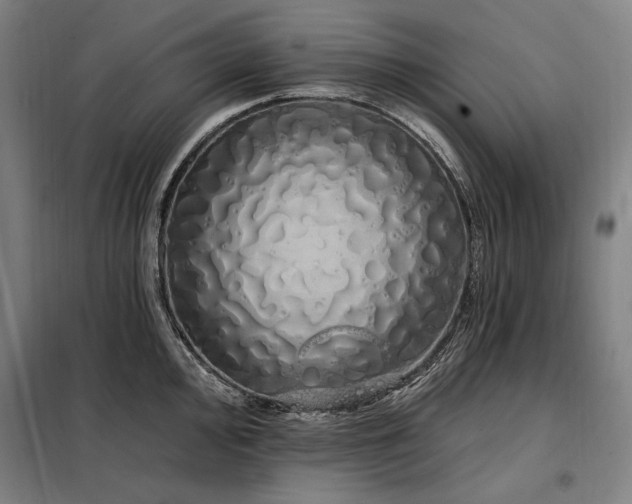 X0000097991000200804021004