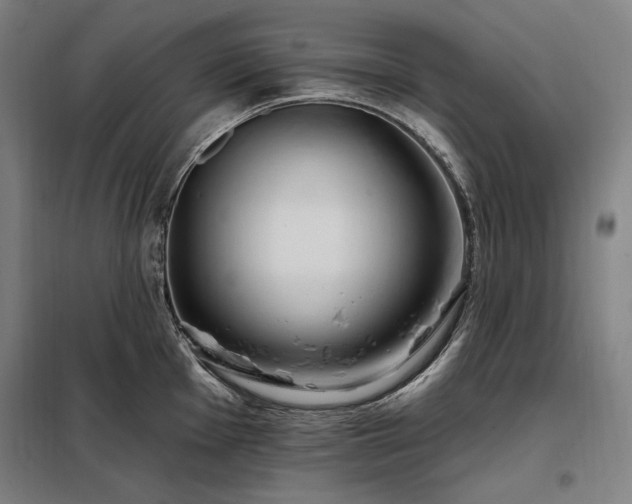X0000097991001200804021004