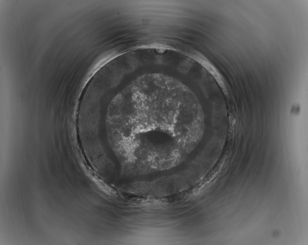 X0000097991002200804021004