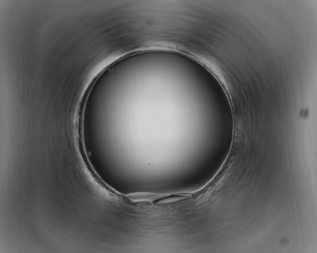 X0000097991003200804021004
