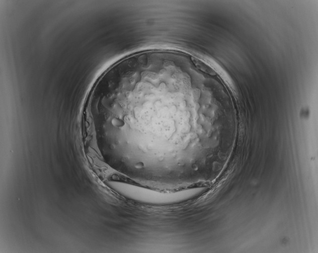 X0000097991004200804021004
