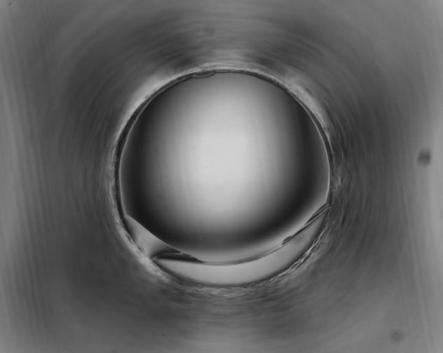 X0000097991005200804021004