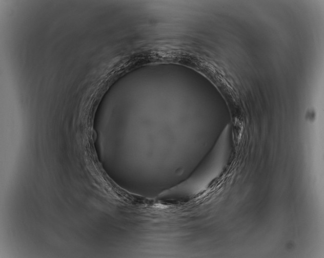 X0000097991009200804021003
